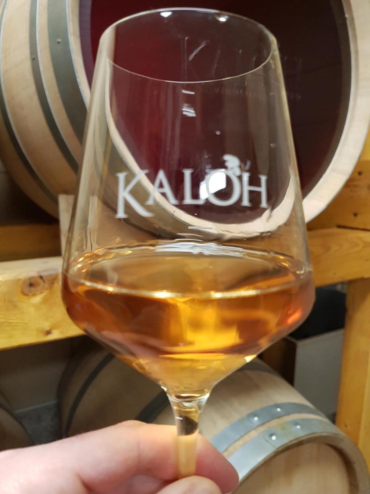הוילה מריבור Wine House Kaloh מראה חיצוני תמונה