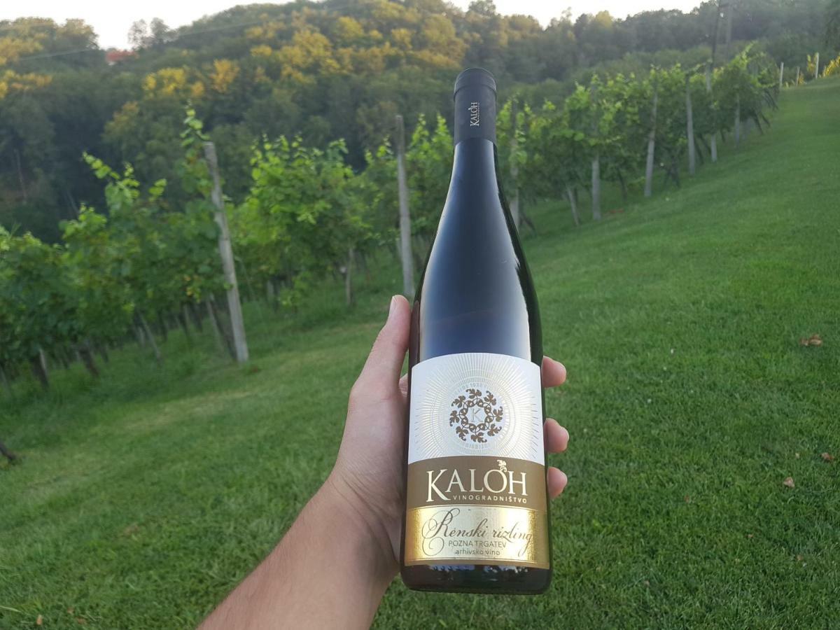 הוילה מריבור Wine House Kaloh מראה חיצוני תמונה